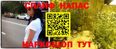 СК Донецк