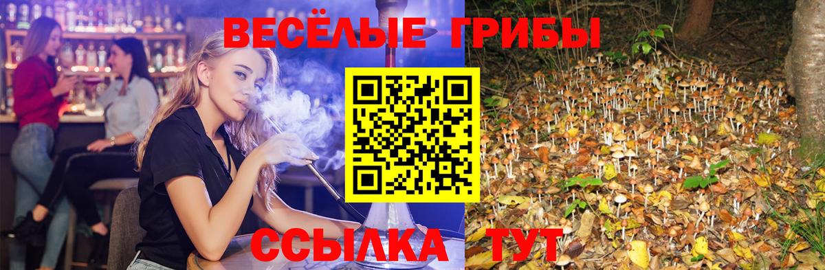 Назарово  Псилоцибиновые грибы Magic Shrooms  Вход с VPN 