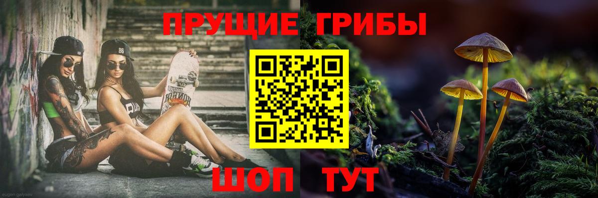 Галлюциногенные грибы GOLDEN TEACHER Назарово